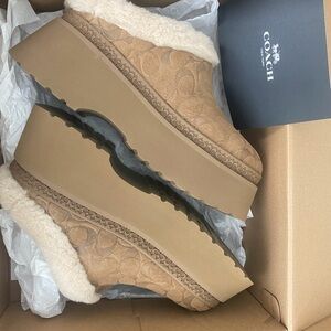 NEW - Coach Cecilia Clog in Signature Suede